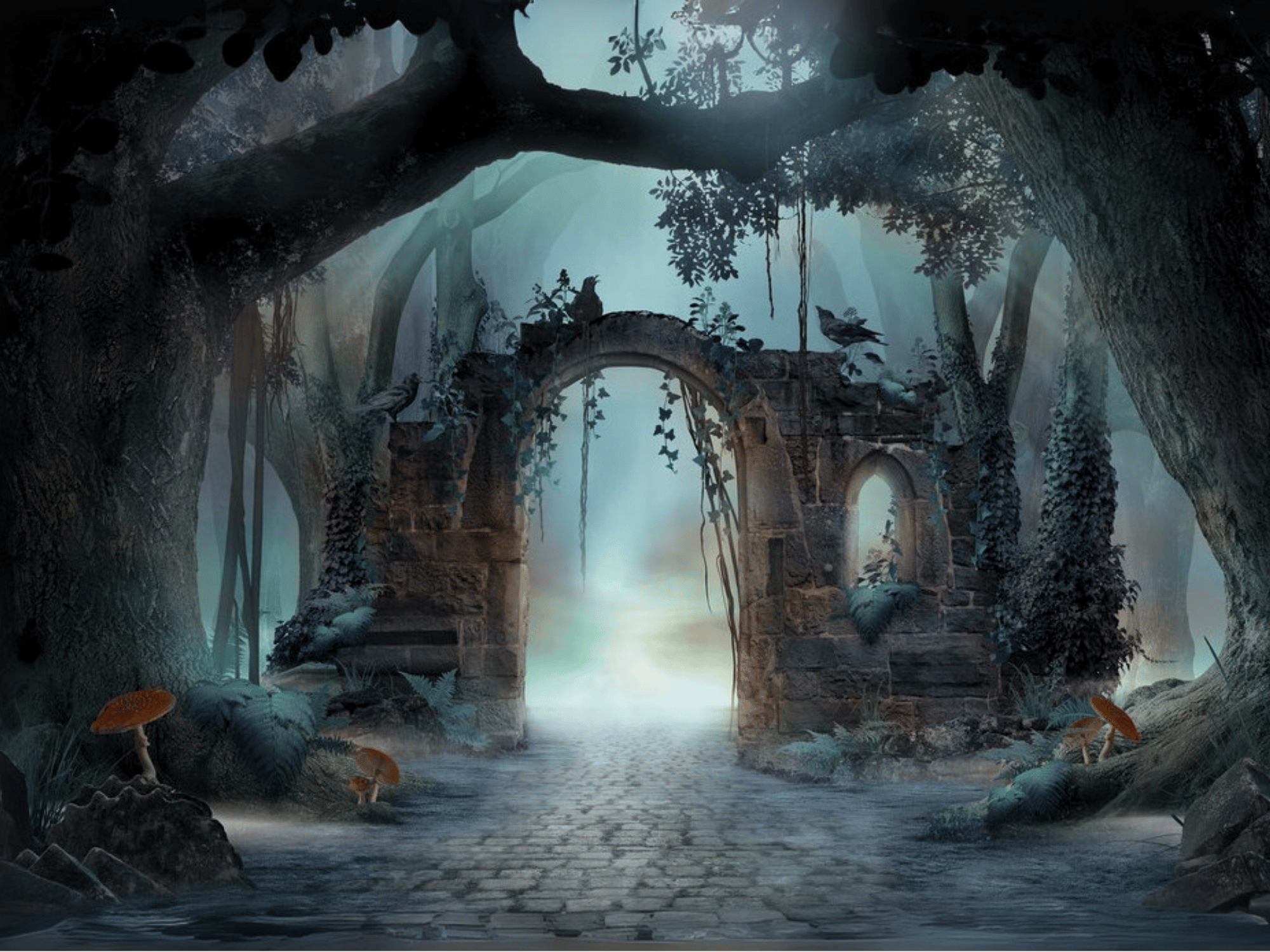 The Cursed Forest (3)